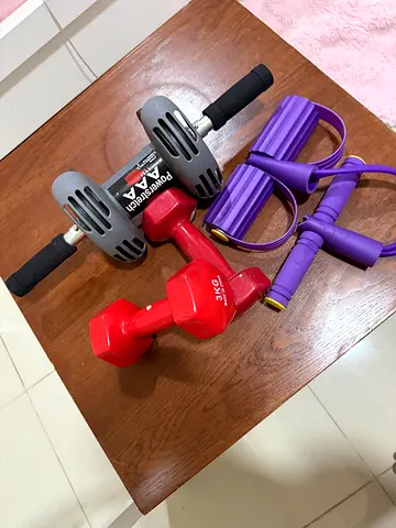 Home dumbbells, resistance handles and ab roller - light set