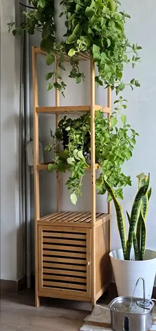 Shelves Book Case Cabinet