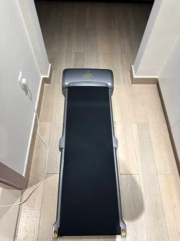 WALKINGPAD P1 TREADMILL FOR HOME USE
