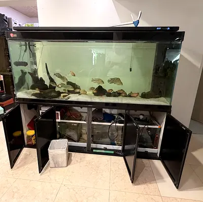 Large 6ft Aquarium with Cabinet, Lighting and Fish Included