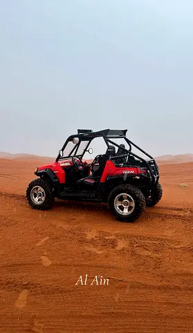 للبيع Polaris RZR 800