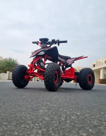 Electric Quad Bike ATV