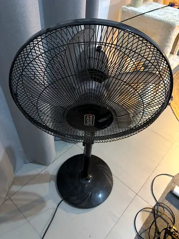 Fan