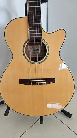 IBANEZ Classical Guitar with travel case