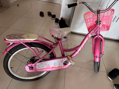 Pink Girls 20-inch Kids Bicycle with Basket — Good Condition