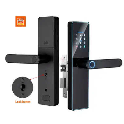 Smart  Door Lock wifi tuya