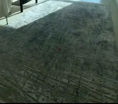 Carpet
