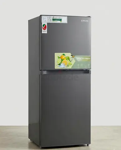 Europa 270L Double Door - 4 Star Energy Saving | Excellent Condition | Lock Key I Dark Silver