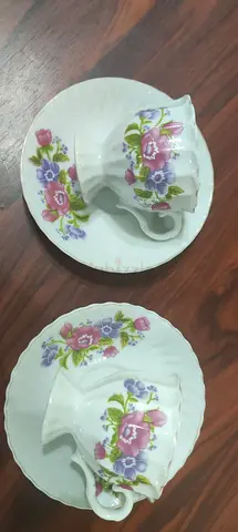 Set of 2 Floral Porcelain Teacups with Saucers
