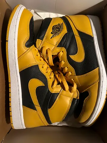 Air Jordan 1 High OG Pollen