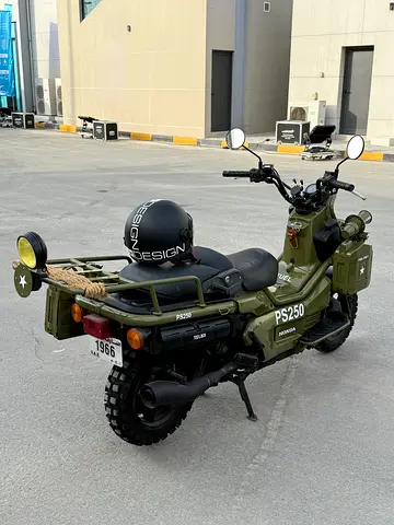 Honda Big Ruckus PS250