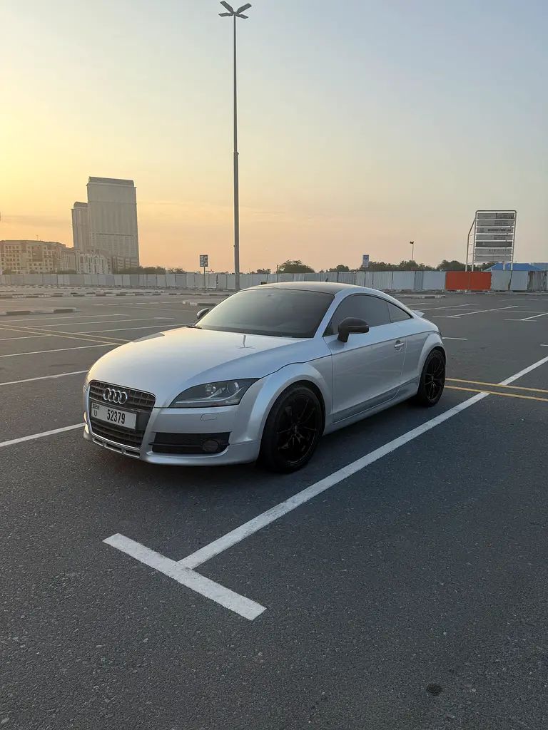 Audi TT 2009 — photo 1 of 17