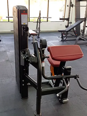 Preacher Curl / Seated Biceps Curl Machine - bicep/tricep 2in 1