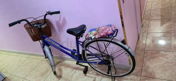 Used Ladies City Bike with Front Basket and Rear Rack - Good Condition