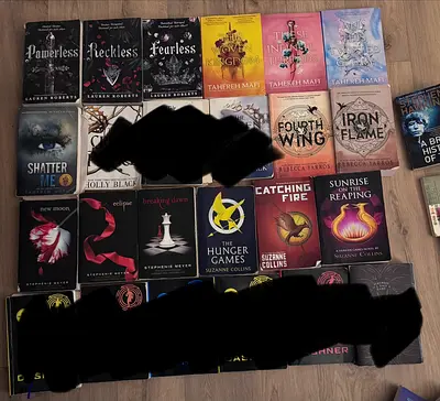 Booktok YA books for sale