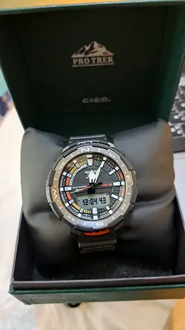Casio Pro Tek