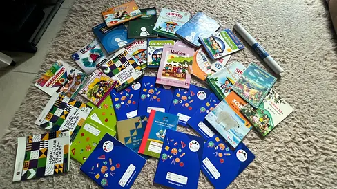 School Textbooks and Workbooks Bundle - Primary/Elementary (Used)
