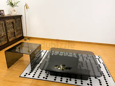 Natuzzi Italia Glass Coffee Tables Set