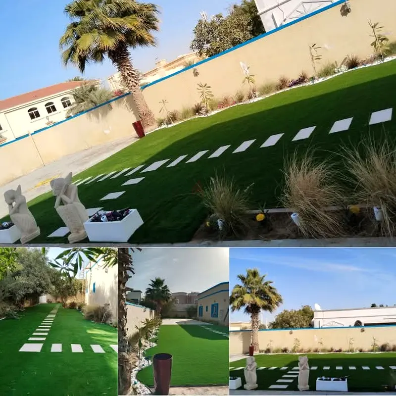 DPV_View_Image_2
