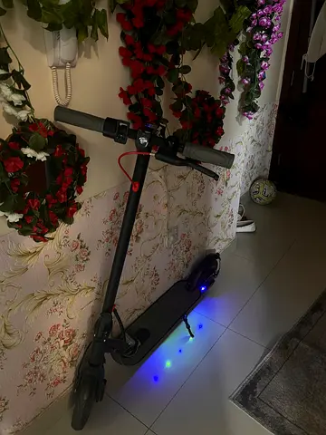 Sky winner e scooter max speed 55