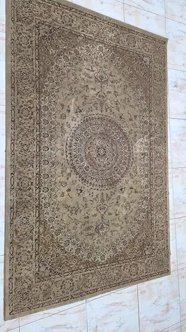 Beige Traditional Persian-Style Area Rug - good used condition 1.5 x2.5
