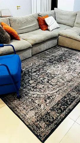 Used Large Vintage-Style Carpet — Neutral Tones, Good Condition