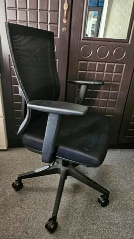 Ergonomic Black Mesh Office Chair with Adjustable Armrests