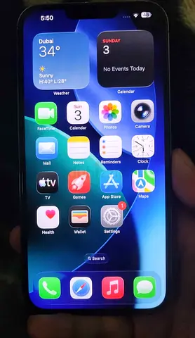 iPhone 13 Pro Max -256 GB
