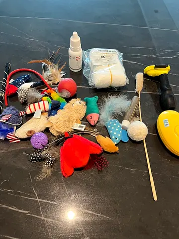 Cat accessories