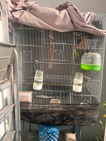Large metal bird cage with accessories