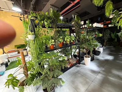 Investment Opportunity: Landscaping  Nursery Business UAE | High Growth