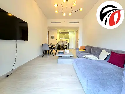 Big 2bhk / Spacious apt / corner unit / fully furnished