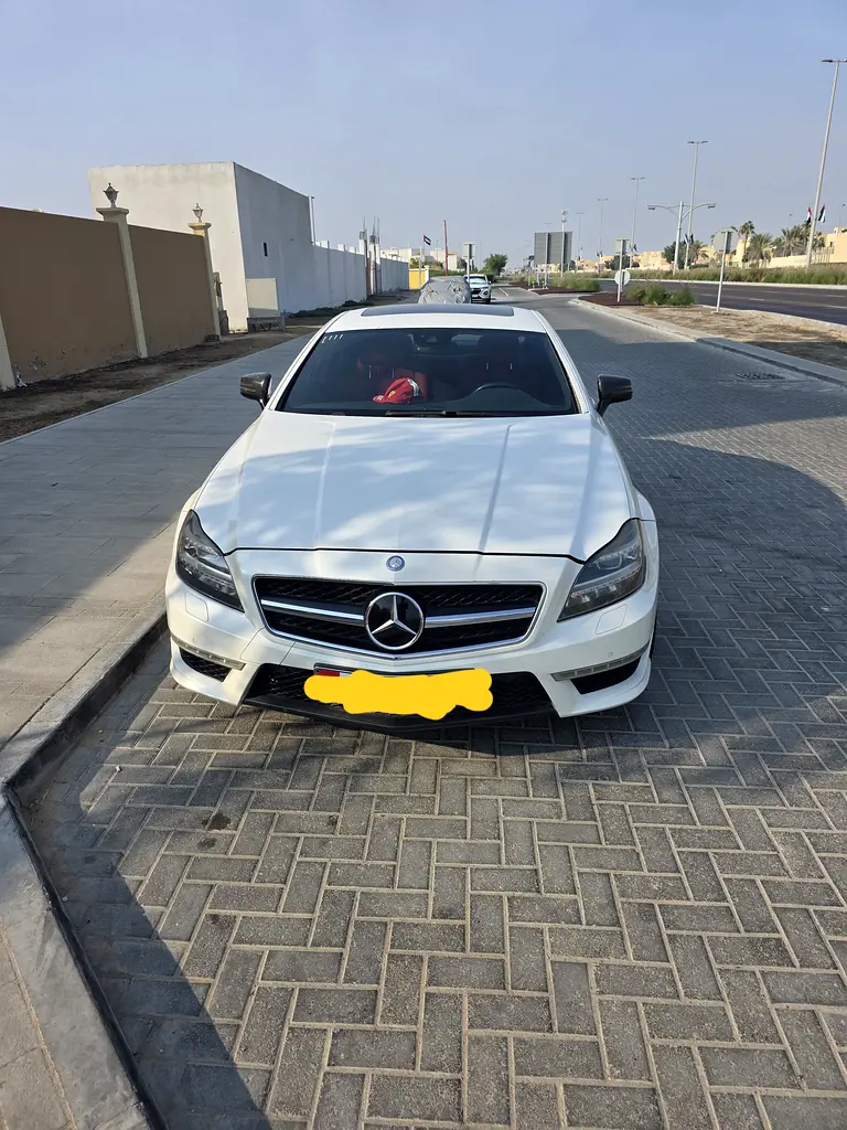 Mercedes-Benz CLS-Class 2014 — photo 1 of 8