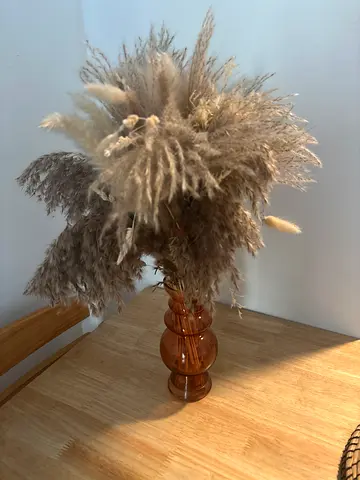 Vase and feathers