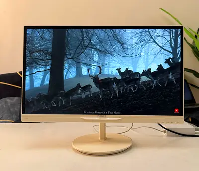 Philips 23” IPS LED Monitor – Full HD | HDMI + VGA | Slim White Design | Clear Display