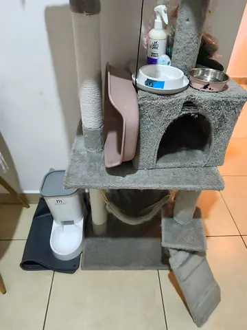Cat accessories