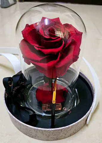 Long-lasting Beauty: Infinity life roses