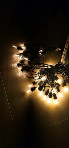 Bundle of Edison/Filament Pendant Bulbs - Decorative Lighting