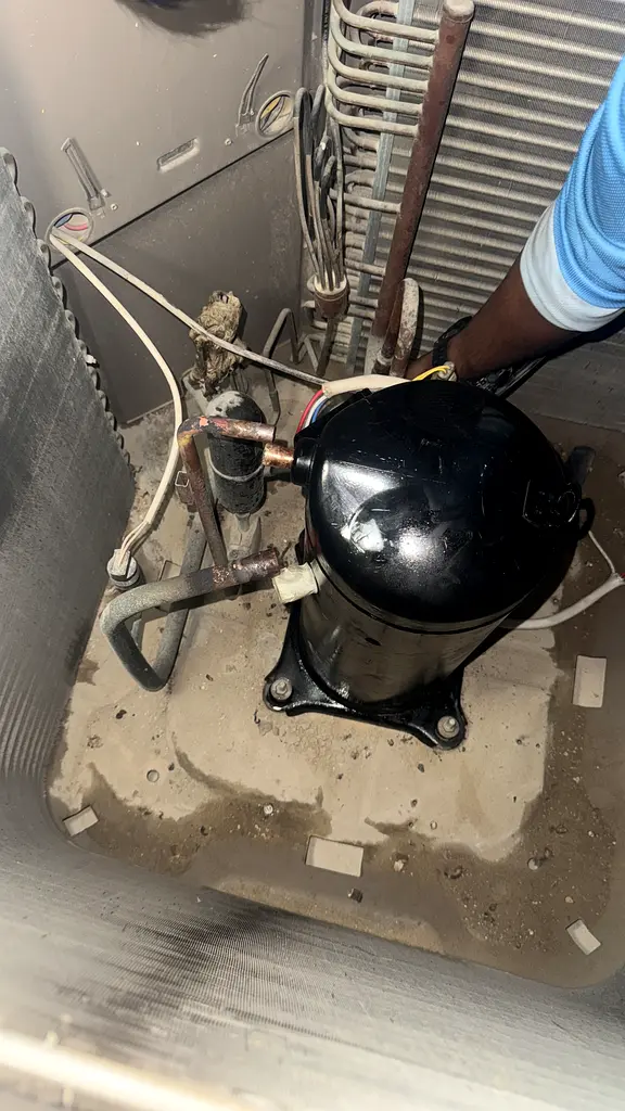 DPV_View_Image_2