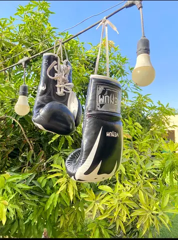 Pro venom boxing gloves