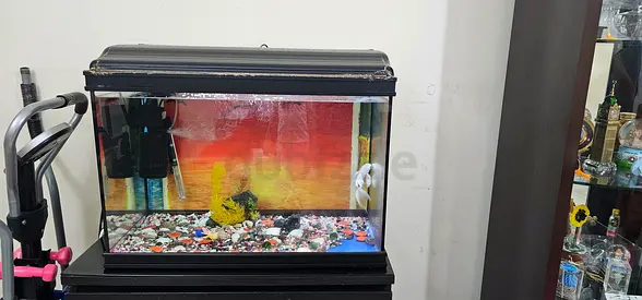 Aquarium