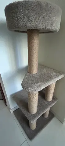 Cat tower, litter box, sand, cat toys.