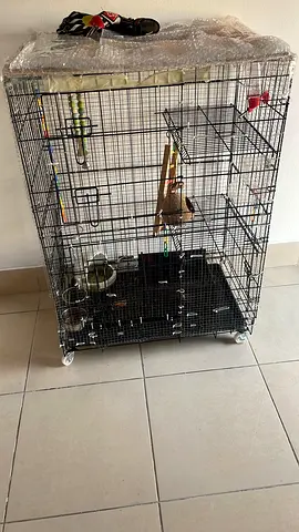 Big size cage