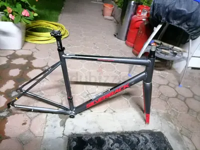 Silverback road bike frame - carbon fork, size large