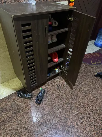 Dark Wood Shoe Cabinet with Louvered Doors - Good Condition