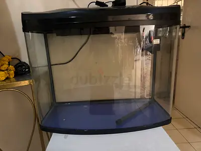 Medium curved glass fish tank with hood and light - good condition with fish food. Rocks and plants.