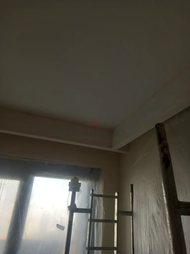 DPV_View_Image_2