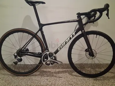 Giant tcr pro1