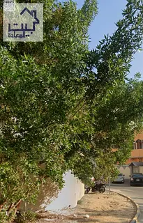 Freehold ownership for all nationalities. Building with excellent return on investment. Corner locat