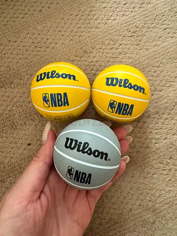 Wilson NBA Mini Basketballs (High Bounce)